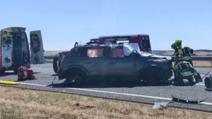 dies in fatal traffic accident.