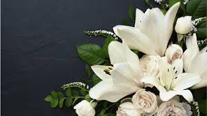 Daniel Demaio Obituary Arizona, Accident Death – Has Died